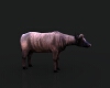 水牛-动植物-哺乳动物-VR/AR模型-3D城
