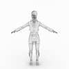 女-角色人体-角色-VR/AR模型-3D城
