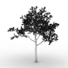 樱桃树-动植物-植物-VR/AR模型-3D城