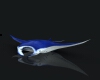 短尾蝠鲼-动植物-鱼类-VR/AR模型-3D城