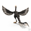 最终幻想09b-角色人体-角色-VR/AR模型-3D城