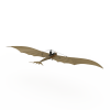 扑翼飞机-飞机-其它-VR/AR模型-3D城