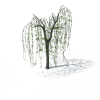 小柳树-动植物-其它-VR/AR模型-3D城