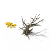 树-动植物-植物-VR/AR模型-3D城