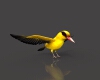 黄鹂-动植物-鸟类-VR/AR模型-3D城