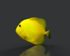 黄高鳍刺尾鱼-动植物-鱼类-VR/AR模型-3D城