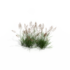 草花-动植物-花草-VR/AR模型-3D城
