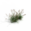 草花-动植物-花草-VR/AR模型-3D城
