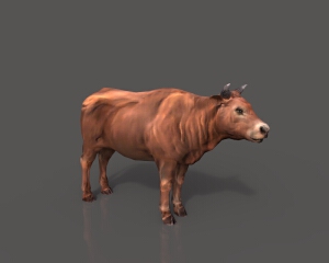 牛