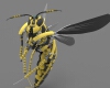 The hornets-文体生活-玩具-工业CAD模型-3D城