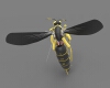 The hornets-文体生活-玩具-工业CAD模型-3D城