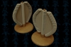 helicone-wooden-toy-solidworks-文体生活-玩具-工业CAD模型-3D城