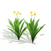 花-动植物-花草-VR/AR模型-3D城
