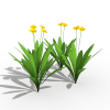 花-动植物-花草-VR/AR模型-3D城