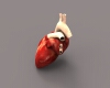 心脏-角色人体-医学解剖-VR/AR模型-3D城