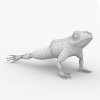 青蛙-动植物-爬行动物-VR/AR模型-3D城
