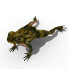 青蛙-动植物-爬行动物-VR/AR模型-3D城