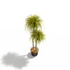 盆栽-动植物-盆栽-VR/AR模型-3D城