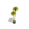 盆栽-动植物-盆栽-VR/AR模型-3D城