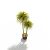 盆栽-动植物-盆栽-VR/AR模型-3D城