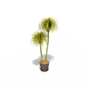盆栽-动植物-盆栽-VR/AR模型-3D城