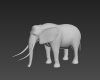 大象-动植物-哺乳动物-VR/AR模型-3D城