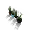 盆栽-动植物-盆栽-VR/AR模型-3D城