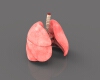 气管、支气管和肺-角色人体-医学解剖-VR/AR模型-3D城