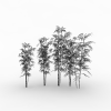 竹子-动植物-其它-VR/AR模型-3D城