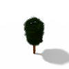 棕榈树-动植物-植物-VR/AR模型-3D城