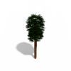 棕榈树-动植物-植物-VR/AR模型-3D城