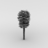 棕榈树-动植物-植物-VR/AR模型-3D城