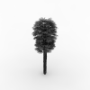 棕榈树-动植物-植物-VR/AR模型-3D城