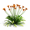 花-动植物-花草-VR/AR模型-3D城