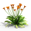 花-动植物-花草-VR/AR模型-3D城