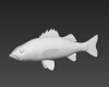 尖嘴鲈科-动植物-鱼类-VR/AR模型-3D城