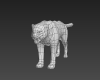 白色豹子-动植物-哺乳动物-VR/AR模型-3D城