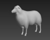 湖羊-动植物-哺乳动物-VR/AR模型-3D城