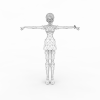 海贼王-角色人体-角色-VR/AR模型-3D城