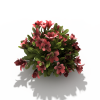 花-动植物-花草-VR/AR模型-3D城