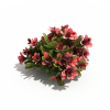 花-动植物-花草-VR/AR模型-3D城