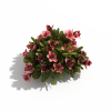 花-动植物-花草-VR/AR模型-3D城