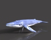 鲸鱼-动植物-哺乳动物-VR/AR模型-3D城