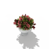 玫瑰-动植物-花草-VR/AR模型-3D城