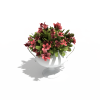 玫瑰-动植物-花草-VR/AR模型-3D城
