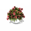 玫瑰-动植物-花草-VR/AR模型-3D城