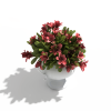玫瑰-动植物-花草-VR/AR模型-3D城