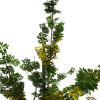 树-动植物-植物-VR/AR模型-3D城