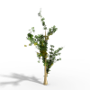 树-动植物-植物-VR/AR模型-3D城