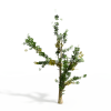 树-动植物-植物-VR/AR模型-3D城